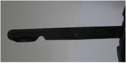L1